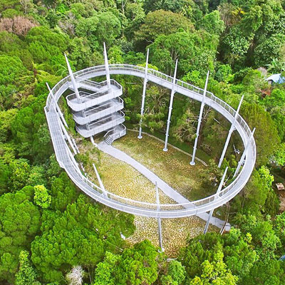 馬來西亞-360度樹冠步道