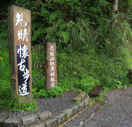 一日遊